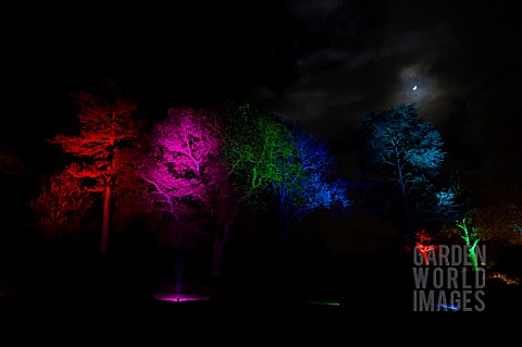 RHS_WISLEY_GARDEN_TREES_LIT_UP_IN_THE_LIGHT_TRAIL_EVENT