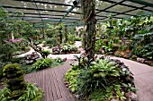 WALKWAYS AROUND THE ORCHIDS AT SINGAPORE BOTANICAL GARDENS