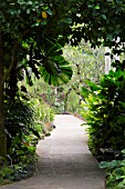 WALKWAY WITH CANOPY AT SINGAPORE BOTANICAL GARDENS