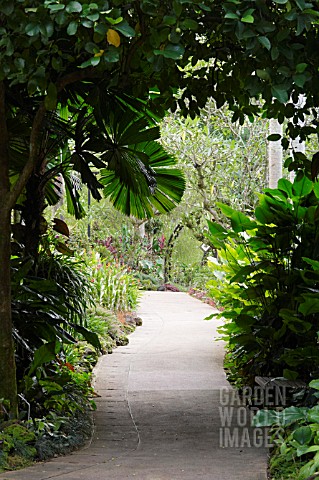 WALKWAY_WITH_CANOPY_AT_SINGAPORE_BOTANICAL_GARDENS