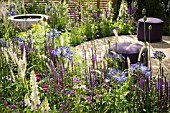 AGAPANTHUS, ALLIUMS, SALVIA AND LUPINS