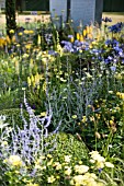 Mixed yellow planting