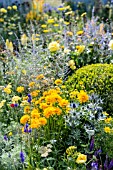 Mixed yellow planting