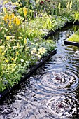 Yellow planting with stream