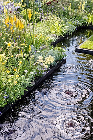 Yellow_planting_with_stream