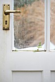 FERNS GROWING FROM A CRACK IN A WINDOW FRAME IN A DOOR