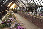 ALPINE HOUSE AT THE RHS WISLEY GARDENS