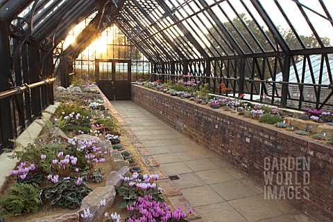 ALPINE_HOUSE_AT_THE_RHS_WISLEY_GARDENS