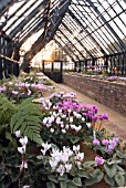 ALPINE HOUSE AT THE RHS WISLEY GARDENS