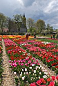 TULIPS ON DISPLAY AT HORTUS BULBORUM, LIMMEN, HOLLAND