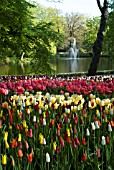 LAKE, FOUNTAIN AND TULIPS DISPLAYS AT KEUKENHOF GARDENS; HOLLAND