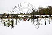 RHS WISLEY, ROSE GARDEN IN THE SNOW