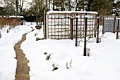 RHS WISLEY FRUIT GARDENS IN THE SNOW