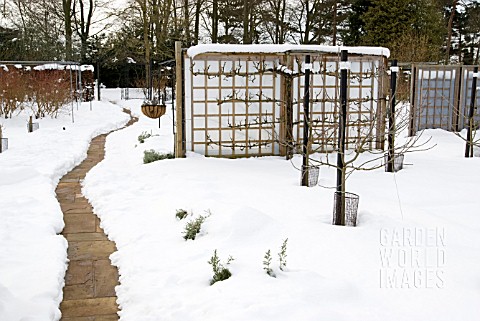 RHS_WISLEY_FRUIT_GARDENS_IN_THE_SNOW