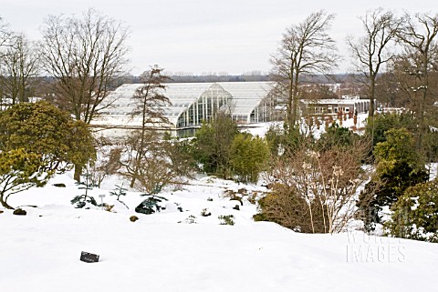 RHS_WISLEY_GARDENS_GLASSHOUSE_IN_THE_SNOW