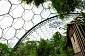 BAMBOO PLANTS AND HUT IN HUMID TROPICS BIOME AT THE EDEN PROJECT