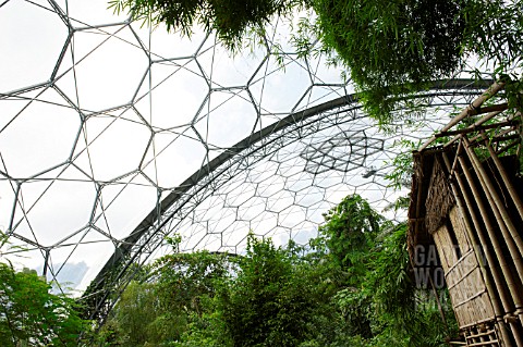 BAMBOO_PLANTS_AND_HUT_IN_HUMID_TROPICS_BIOME_AT_THE_EDEN_PROJECT