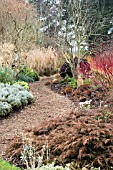 PATHWAY THROUGH THE WINTER GARDENS,  SIR HAROLD HILLIERS GARDENS,  HAMPSHIRE