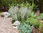 THE SCREE GARDEN,  DURRANCE MANOR,  SUSSEX.