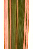 PHORMIUM GUARDSMAN