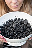 LADY HOLDING BOWL OF BLACKBERRIES