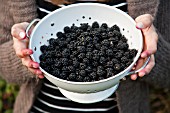 LADY HOLDING BOWL OF BLACKBERRIES