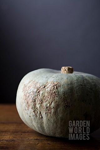 SQUASH_ON_TABLE