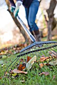 RAKING UP AUTUMN LEAVES