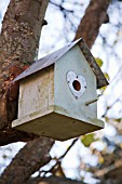 BIRD BOX IN TREE