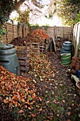 COMPOST BINS FULL OF RAKED LEAVES