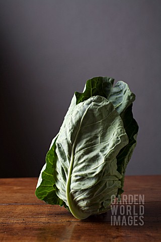 IMPERIAL_CABBAGE_ON_TABLE
