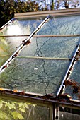 SLUG TRAILS IN CONDENSATION ON GREENHOUSE