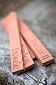 TERRACOTTA VEG LABELS