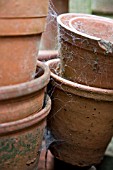 TERRACOTTA POTS