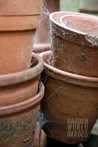 TERRACOTTA_POTS