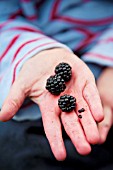 CHILD HOLDING BLACKBERRIES