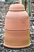 TERRACOTTA RHUBARB FORCER