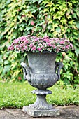 METAL URN CONTAINING SEDUM