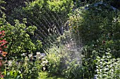 SPRINKLER IN SUMMER