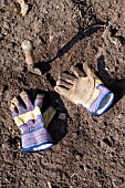 GARDEN GLOVES AND TROWEL.