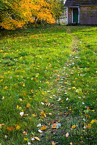PATH_ON_LAWN_WITH_AUTUMN_LEAVES