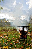 BURNING LEAVES IN A FIRE BASKET