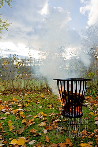BURNING_LEAVES_IN_A_FIRE_BASKET