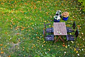 GARDEN SEATING AREA IN AUTUMN