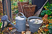 WATERING CAN AND BUCKET IN AUTUMN