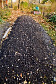 BARE GARDEN BED IN AUTUMN