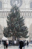 SNOW FALLING ON CHRISTMAS TREE, NOTRE DAME DE PARIS