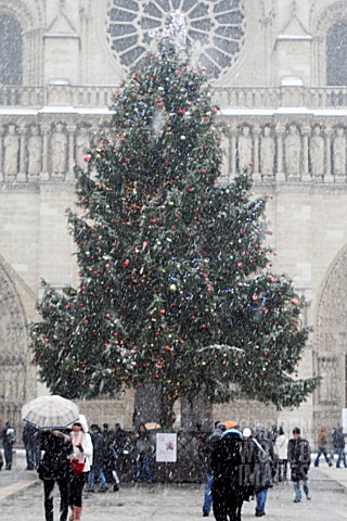 SNOW_FALLING_ON_CHRISTMAS_TREE_NOTRE_DAME_DE_PARIS