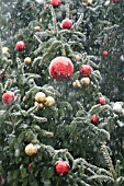 SNOW FALLING ON CHRISTMAS TREE