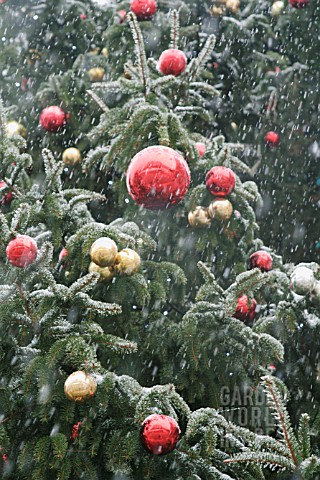 SNOW_FALLING_ON_CHRISTMAS_TREE
